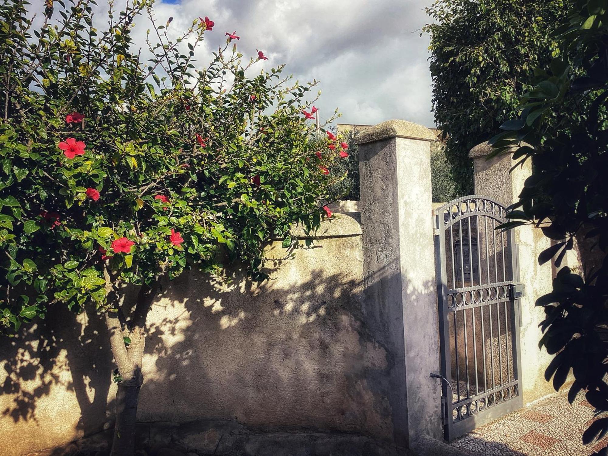 Villa Silvana Mazara del Vallo Exteriér fotografie